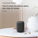 Element T6 Mini Portable Speaker